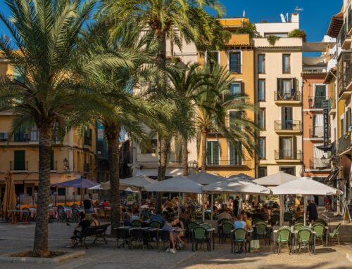 The most pleasant restaurants in Mallorca in winter