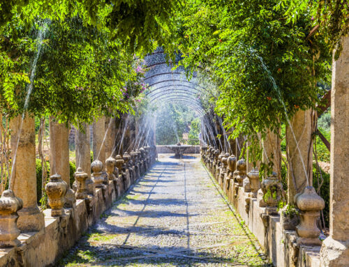 Slow tourism en Mallorca: el lujo de viajar sin prisas