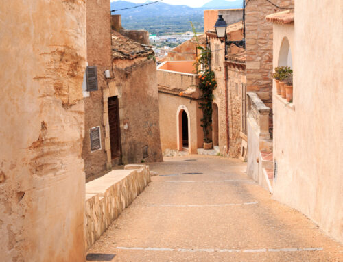 Experiencias locales en Mallorca: descubrir la isla desde dentro