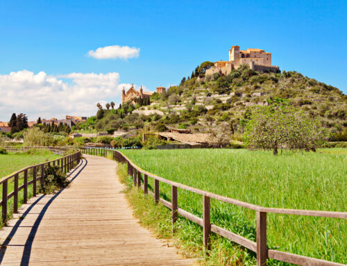 Turismo sostenible en Mallorca: viajar con conciencia