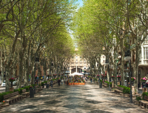 Compras de Reyes Magos en Palma